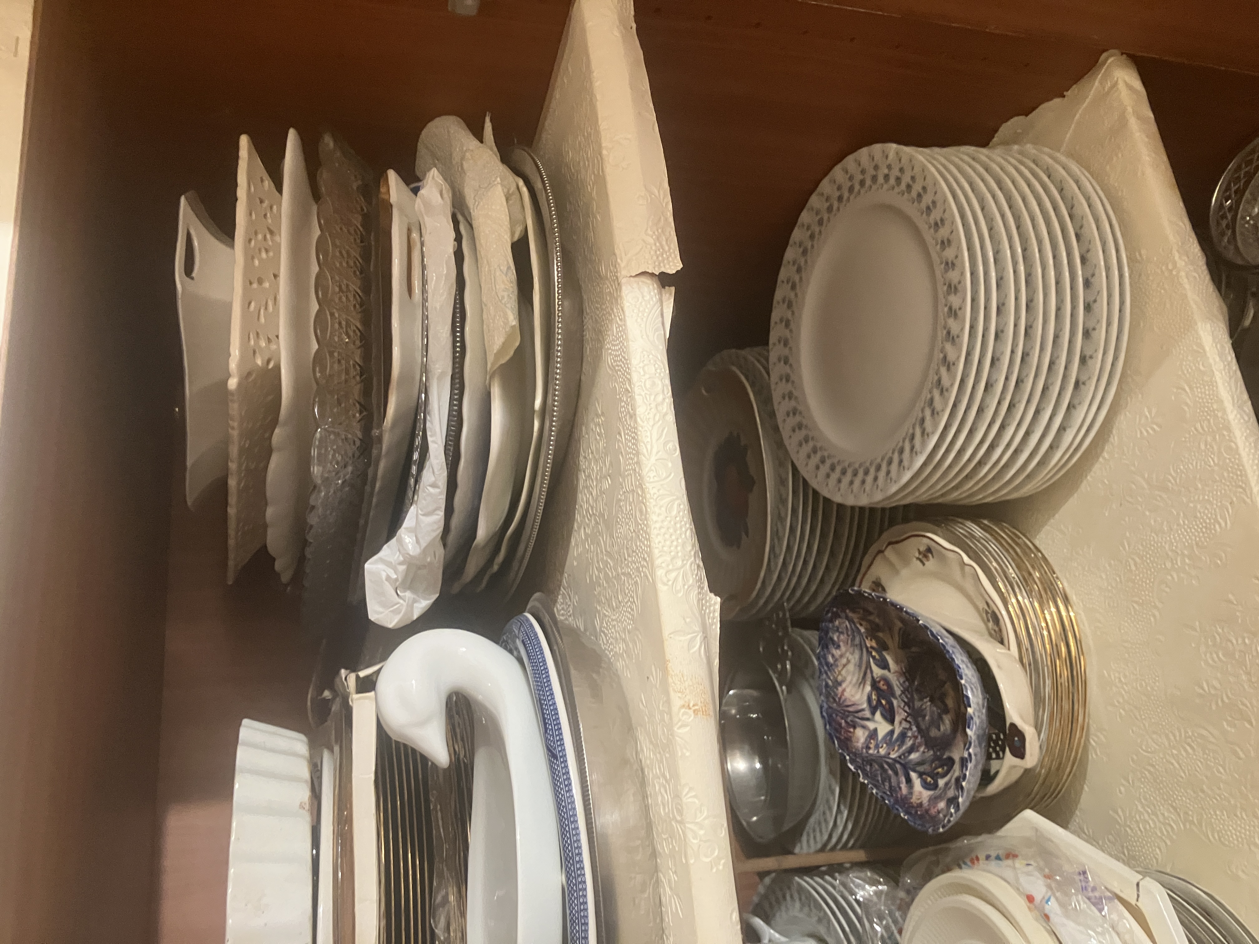 Placards Dressing (7)